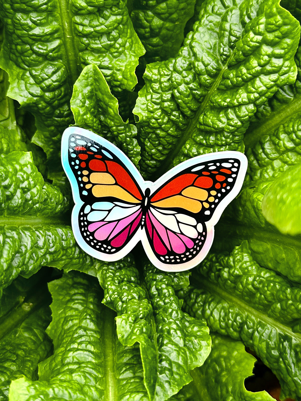 Butterfly Stickers